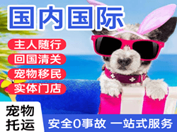 遥墙空运国际宠物托运 【国